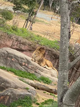天王寺動物園に投稿された画像（2021/3/7）