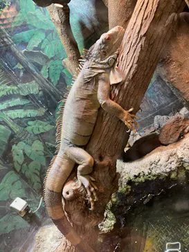 天王寺動物園に投稿された画像（2021/3/7）