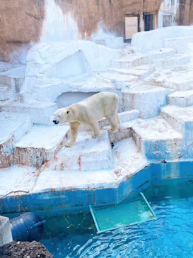 天王寺動物園に投稿された画像（2021/3/7）