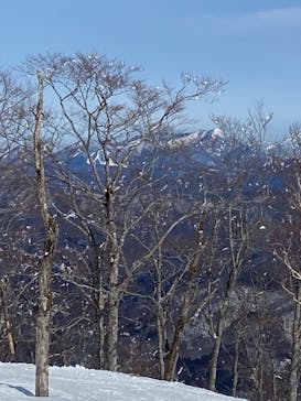 Hakuba47ウィンタースポーツパークに投稿された画像（2021/3/7）