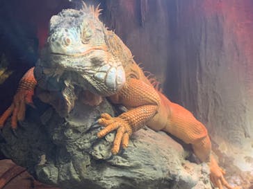 マクセル アクアパーク品川に投稿された画像（2021/3/7）