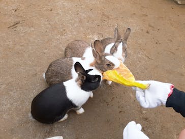 いのさんの観光農園に投稿された画像（2021/3/7）