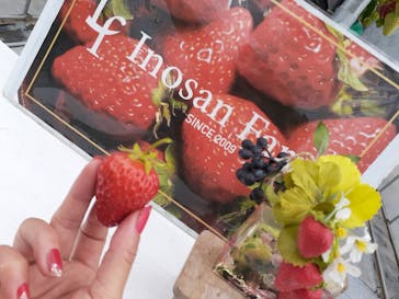 いのさんの観光農園に投稿された画像（2021/3/7）