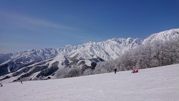 白馬岩岳スノーフィールドに投稿された画像（2021/3/7）