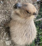 横浜・八景島シーパラダイスに投稿された画像（2021/3/7）