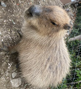 横浜・八景島シーパラダイスに投稿された画像（2021/3/7）