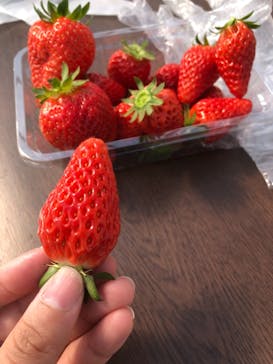 井上寅雄農園に投稿された画像（2021/3/7）