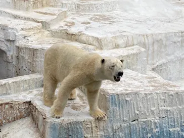 天王寺動物園に投稿された画像（2021/3/7）