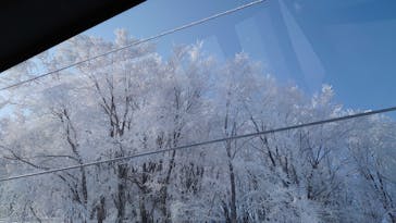 野沢温泉スキー場に投稿された画像（2021/3/7）