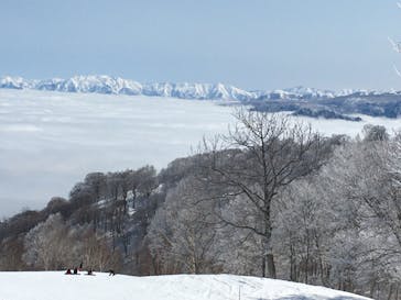 野沢温泉スキー場に投稿された画像（2021/3/7）