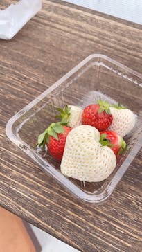 井上寅雄農園に投稿された画像（2021/3/7）