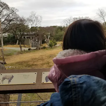 天王寺動物園に投稿された画像（2021/3/7）