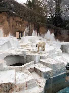 天王寺動物園に投稿された画像（2021/3/7）