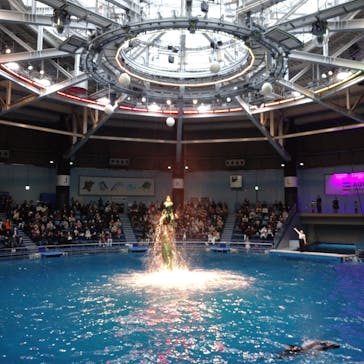 マクセル アクアパーク品川に投稿された画像（2021/3/7）