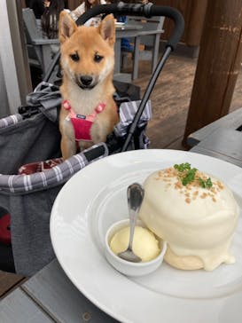 わんダフルネイチャーヴィレッジに投稿された画像（2021/3/7）