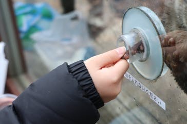 横浜・八景島シーパラダイスに投稿された画像（2021/3/7）