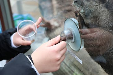 横浜・八景島シーパラダイスに投稿された画像（2021/3/7）