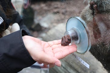 横浜・八景島シーパラダイスに投稿された画像（2021/3/7）