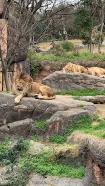 天王寺動物園に投稿された画像（2021/3/7）