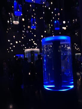 マクセル アクアパーク品川に投稿された画像（2021/3/7）