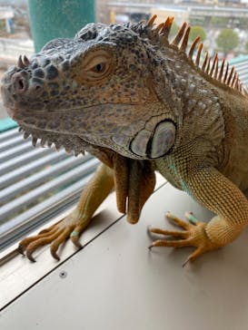 Moff animal cafe 小田原ダイナシティ店に投稿された画像（2021/3/7）