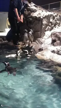 すみだ水族館に投稿された画像（2021/3/7）