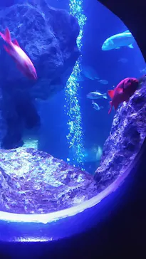 すみだ水族館に投稿された画像（2021/3/7）