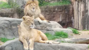 天王寺動物園に投稿された画像（2021/3/8）