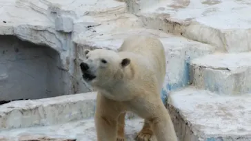 天王寺動物園に投稿された画像（2021/3/8）