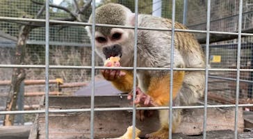 しろとり動物園に投稿された画像（2021/3/7）