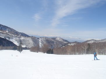 志賀高原中央エリアスキー場に投稿された画像（2021/3/8）