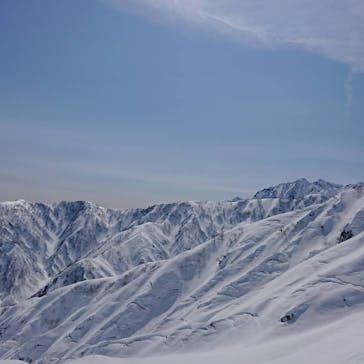 番亭　bamboo tailに投稿された画像（2021/3/8）