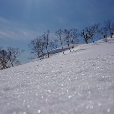 番亭　bamboo tailに投稿された画像（2021/3/8）