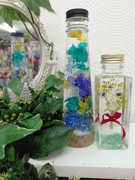 ずこうしつ〜sugamo〜に投稿された画像（2021/3/8）