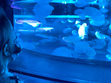 すみだ水族館に投稿された画像（2021/3/8）