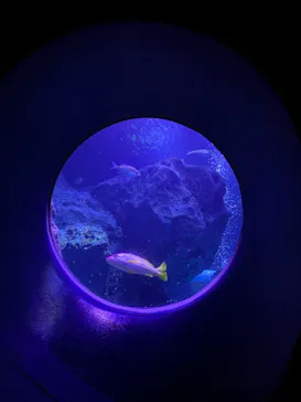 すみだ水族館に投稿された画像（2021/3/8）