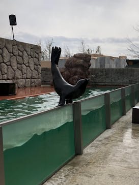 那須どうぶつ王国に投稿された画像（2021/3/8）