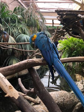 那須どうぶつ王国に投稿された画像（2021/3/8）