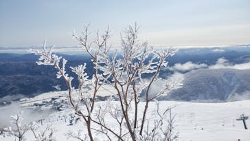 Hakuba47ウィンタースポーツパークに投稿された画像（2021/3/8）