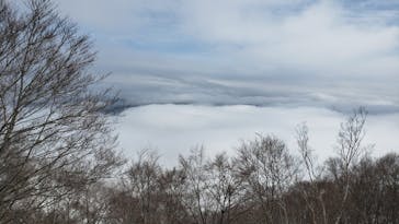 Hakuba47ウィンタースポーツパークに投稿された画像（2021/3/8）