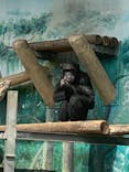 天王寺動物園に投稿された画像（2021/3/8）
