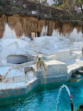 天王寺動物園に投稿された画像（2021/3/8）