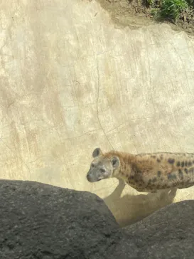 天王寺動物園に投稿された画像（2021/3/8）