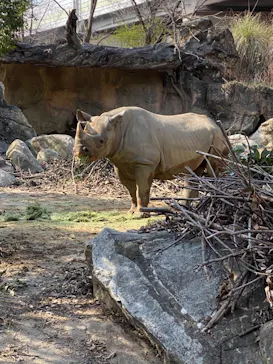 天王寺動物園に投稿された画像（2021/3/8）