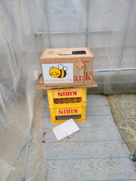 いのさんの観光農園に投稿された画像（2021/3/8）