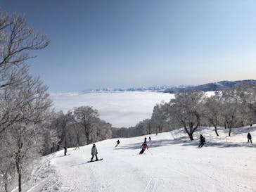 野沢温泉スキー場に投稿された画像（2021/3/8）