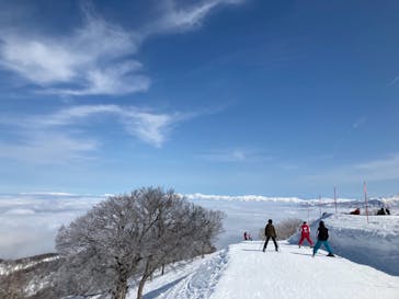 野沢温泉スキー場に投稿された画像（2021/3/9）