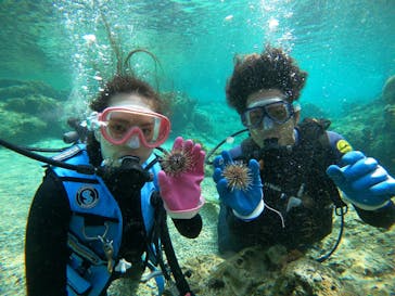 武藤潜水に投稿された画像（2021/3/9）