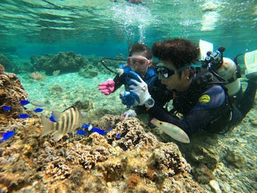 武藤潜水に投稿された画像（2021/3/9）