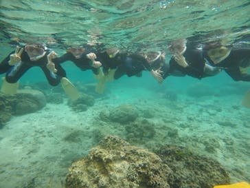 武藤潜水に投稿された画像（2021/3/9）